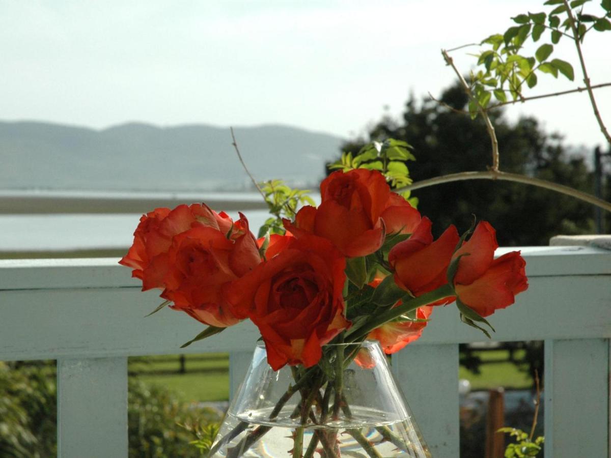 Lagoona Inn Knysna Ngoại thất bức ảnh